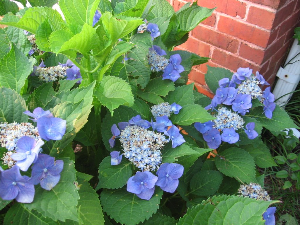 [IMG_2665.JPG]