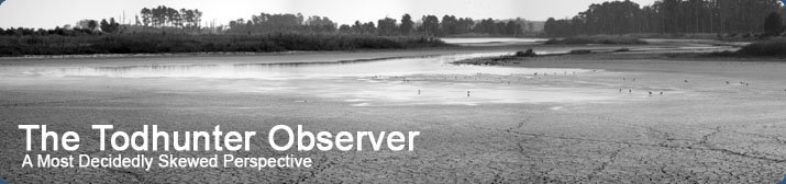The Todhunter Observer