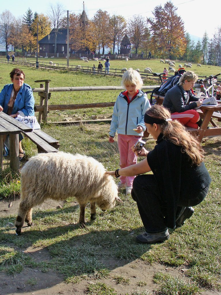 [DSC02433.JPG]