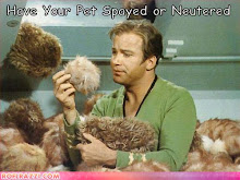 Animals Are Good!