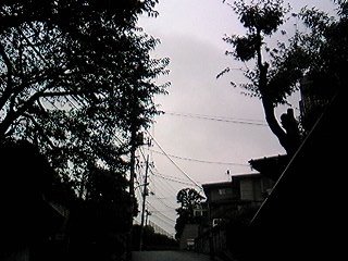 [DVC00022.JPG]