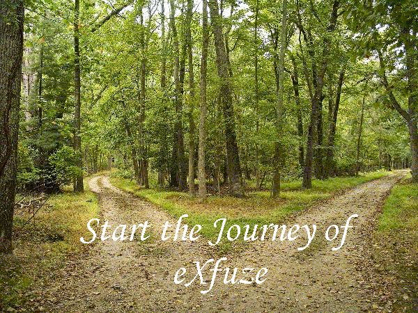 Start the journey of eXfuze