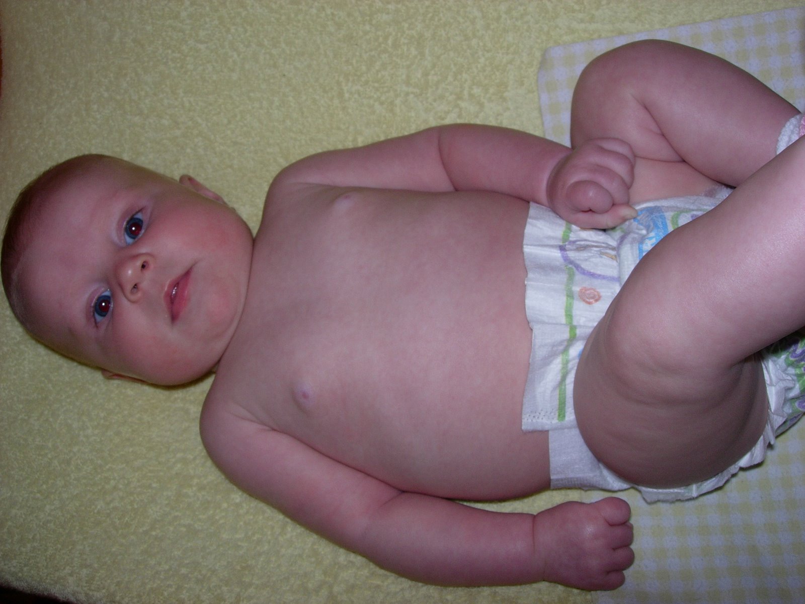 [DSCN2257.JPG]