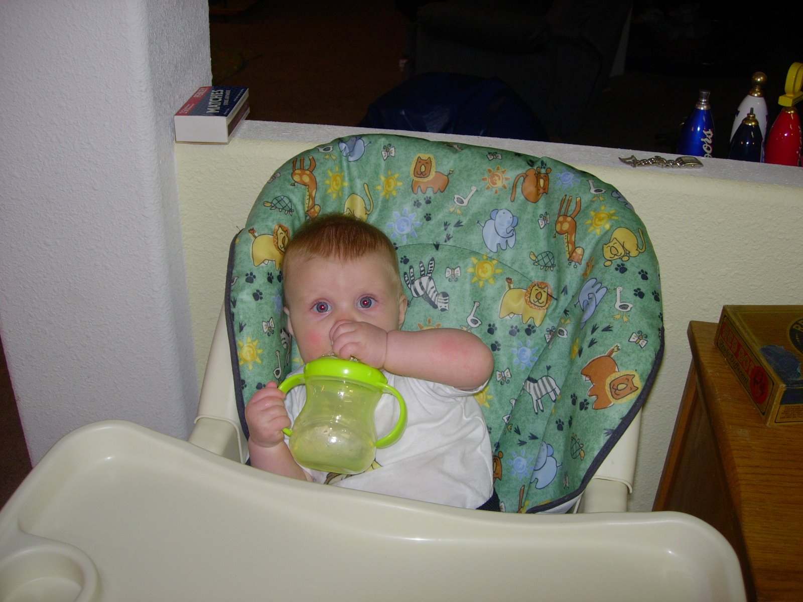 [DSCN2385.JPG]