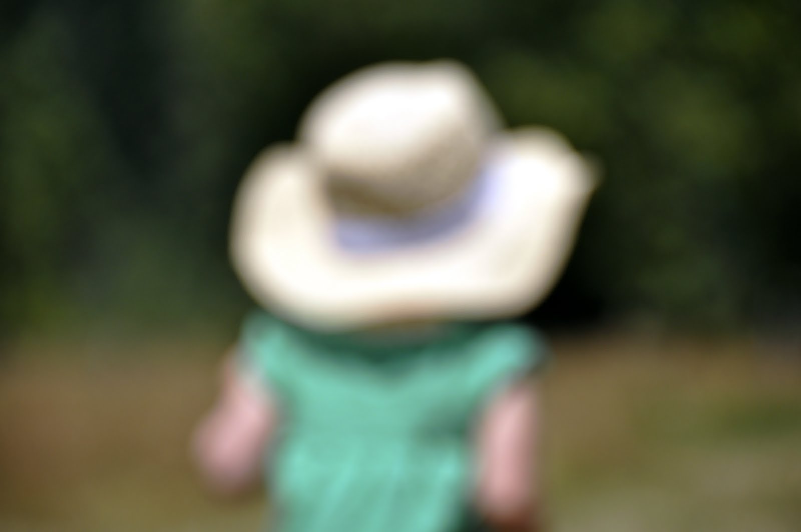 [_DSC0365.JPG]