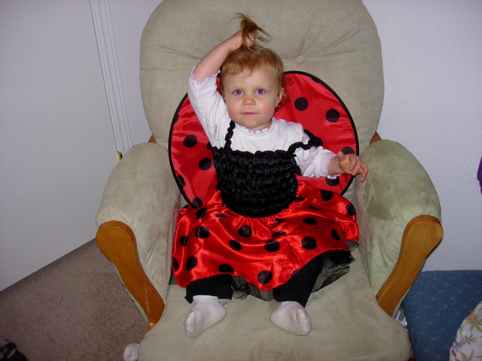 [DSCN2745.JPG]