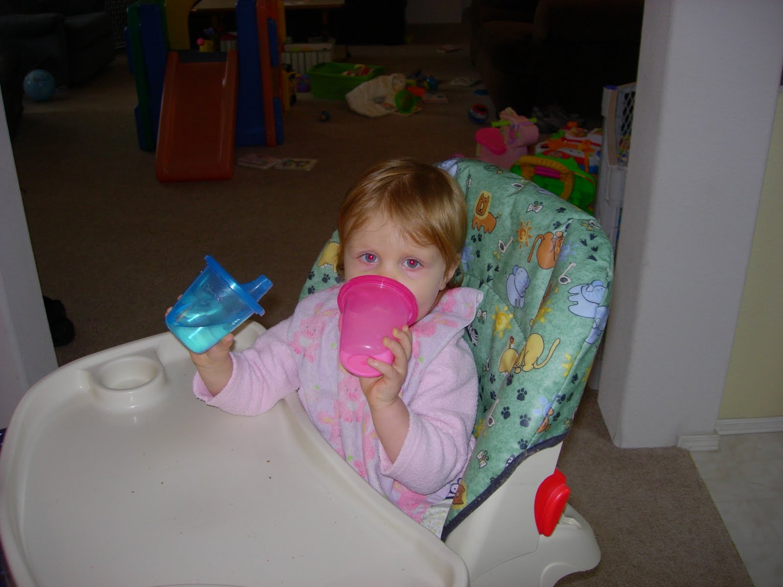 [DSCN2754.JPG]