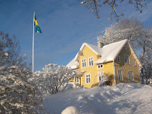 Vårt hus i vinterskrud