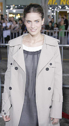 [amanda-peet-the-kingdom-1.jpg]