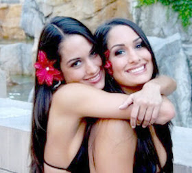 The Bella Twins Myspace