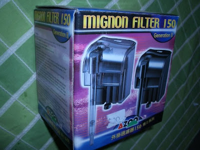 Filtro Externo Azoo Mignon 150 C%C3%B3pia+de+CIMG9470