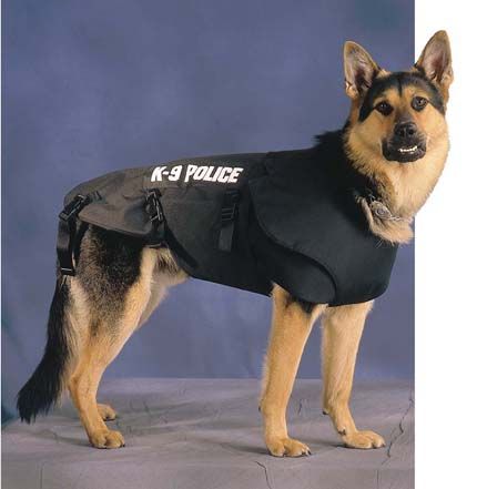 K Nine Dogs