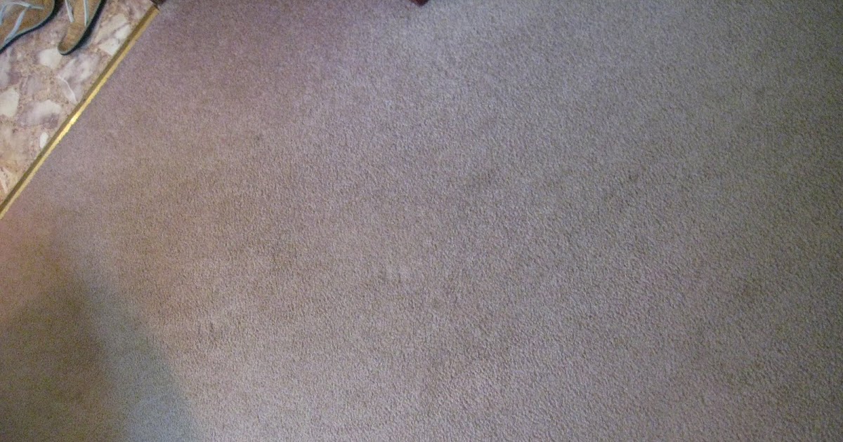 Quarry Orchard Homemade carpet shampoo