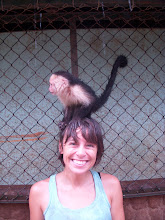 Monkey See Monkey Do?