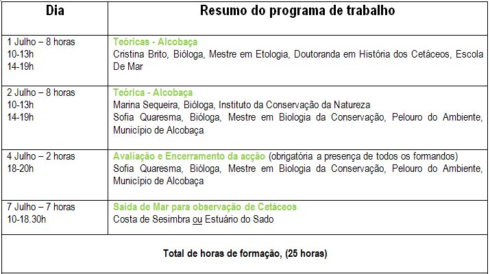 [resumo+programa.bmp]