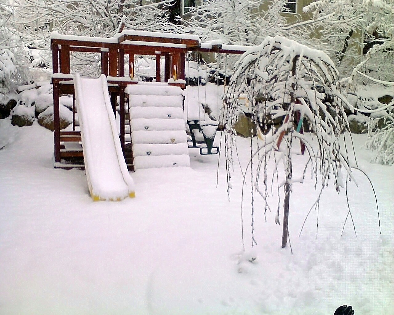 [Photo_120107_011.jpg]