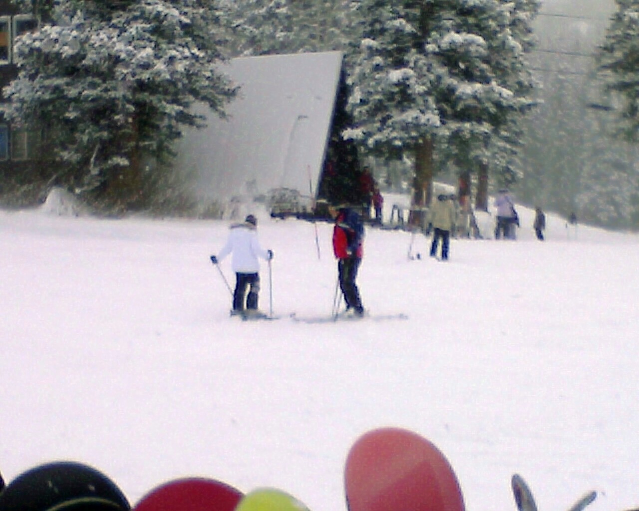 [Photo_120107_028.jpg]