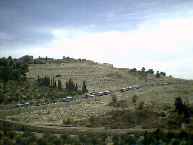 [PICT0019.JPG]
