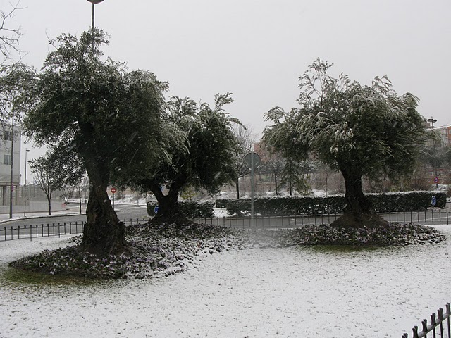 [IMG_9531.JPG]