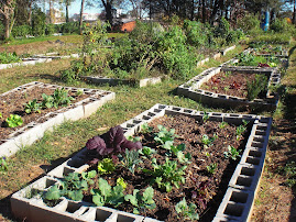 High School Garden, Started by Student