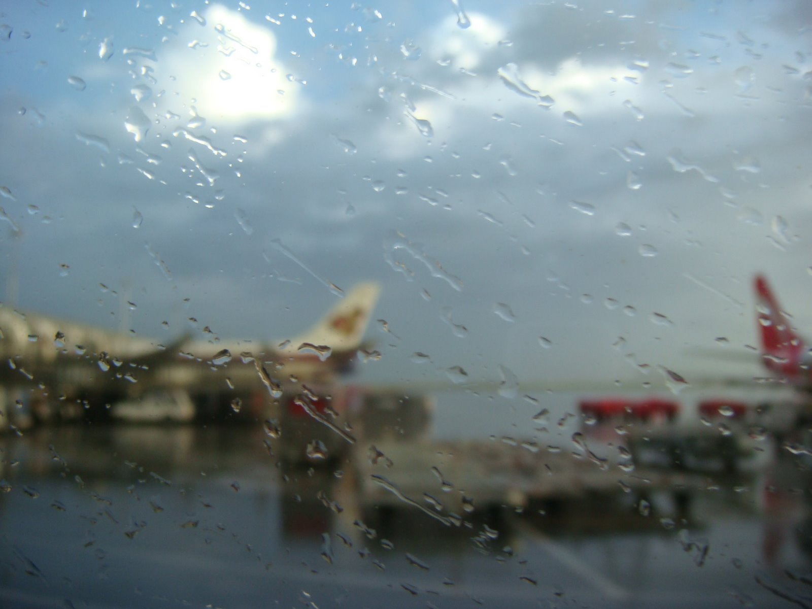 [DSC04659.JPG]