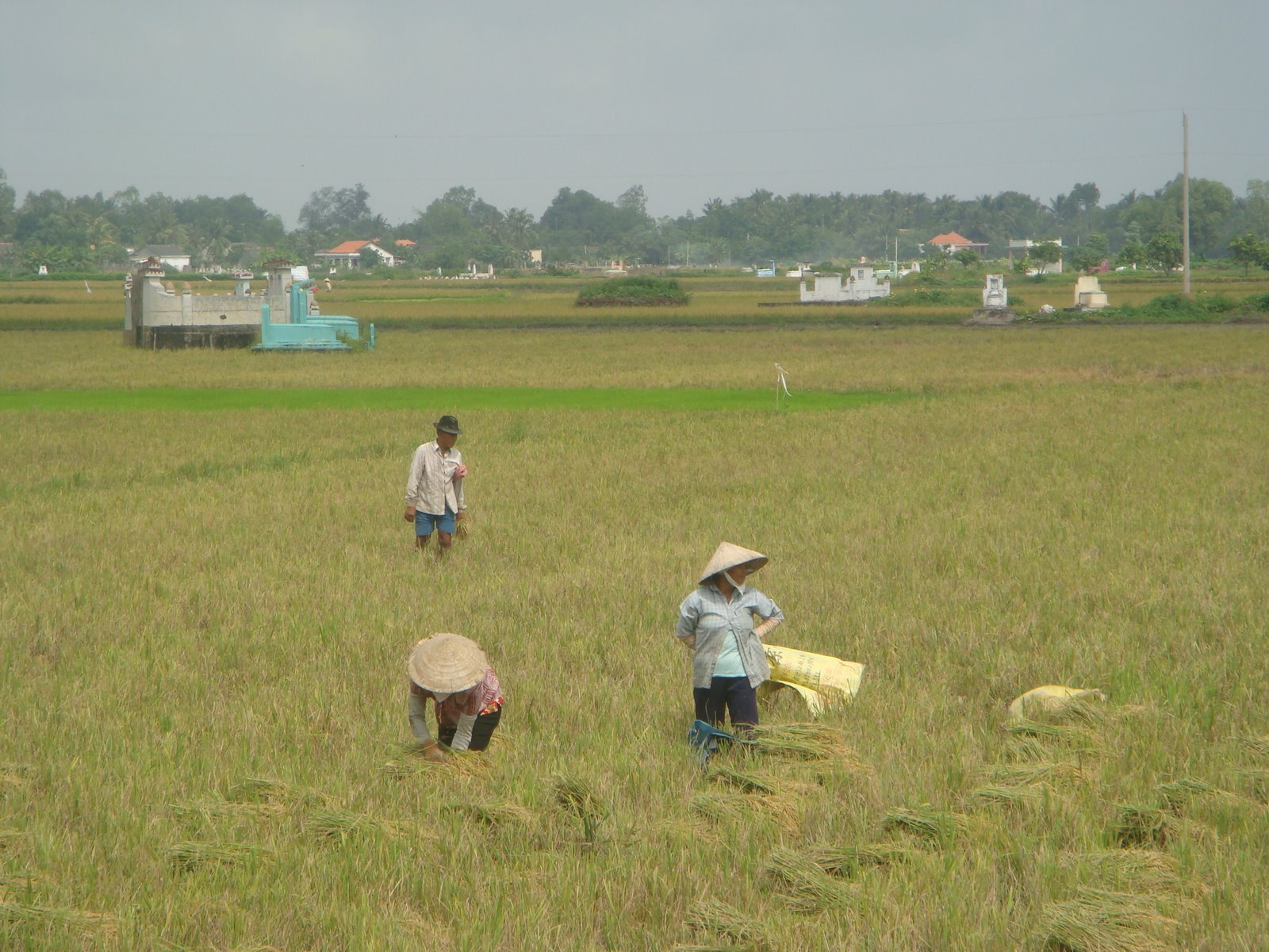 [DSC04678.JPG]