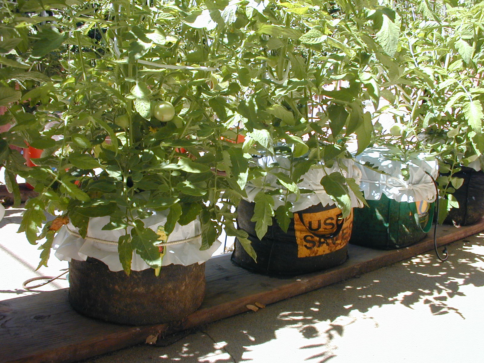 grow bags