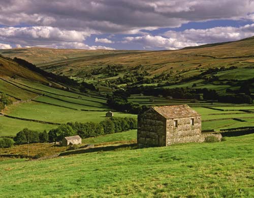 nature in uk