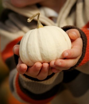 [white+pumpkin+hands.jpg]