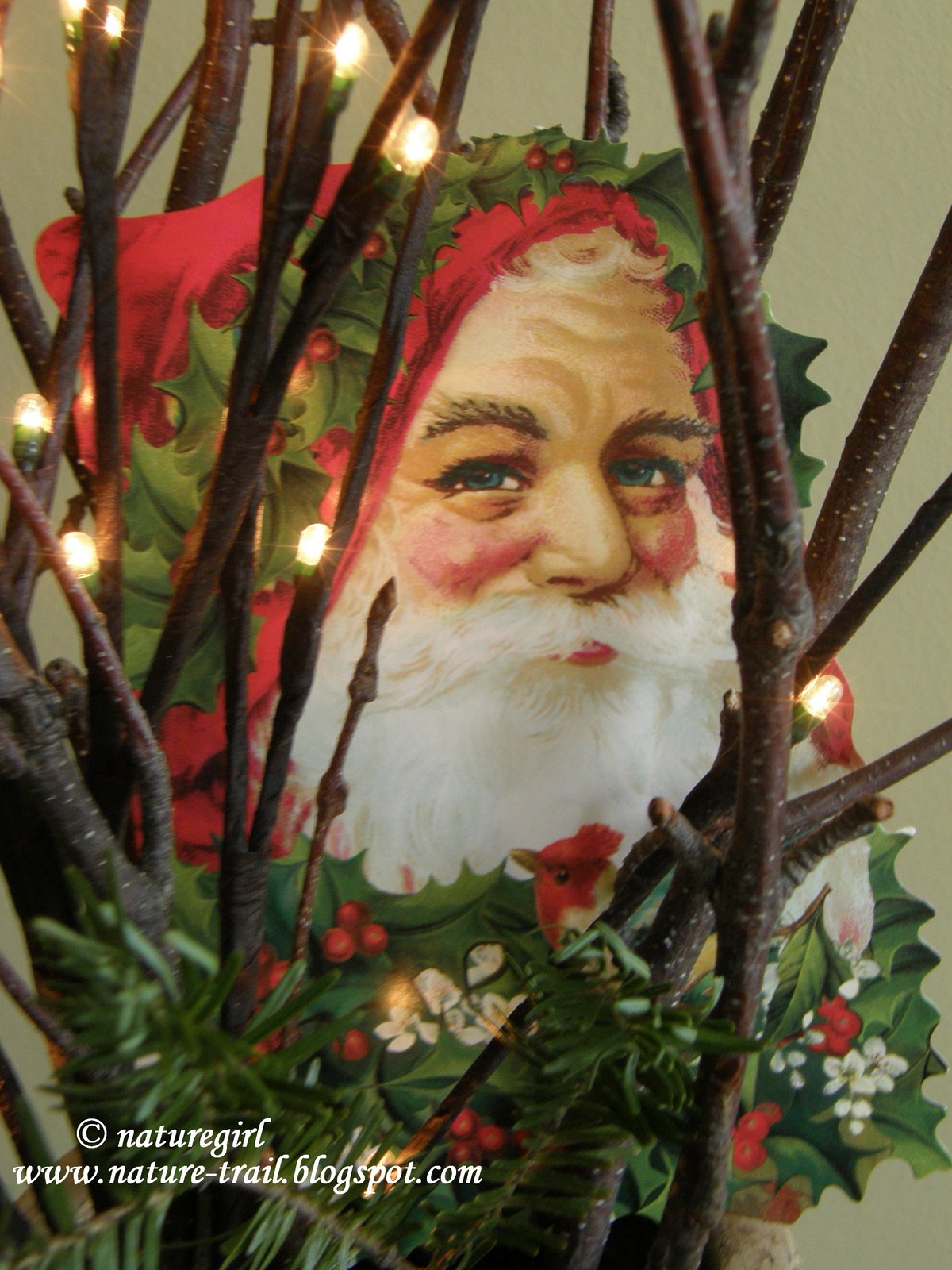 [Santa.JPG]