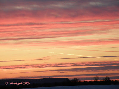 Pink Sky Painting
