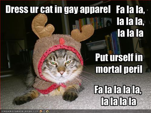 Funny dressed up animals