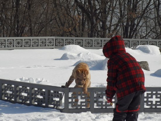 [big_bang_updates_gaho-02.jpg]