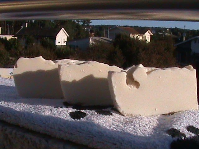 [DSC00286.JPG]