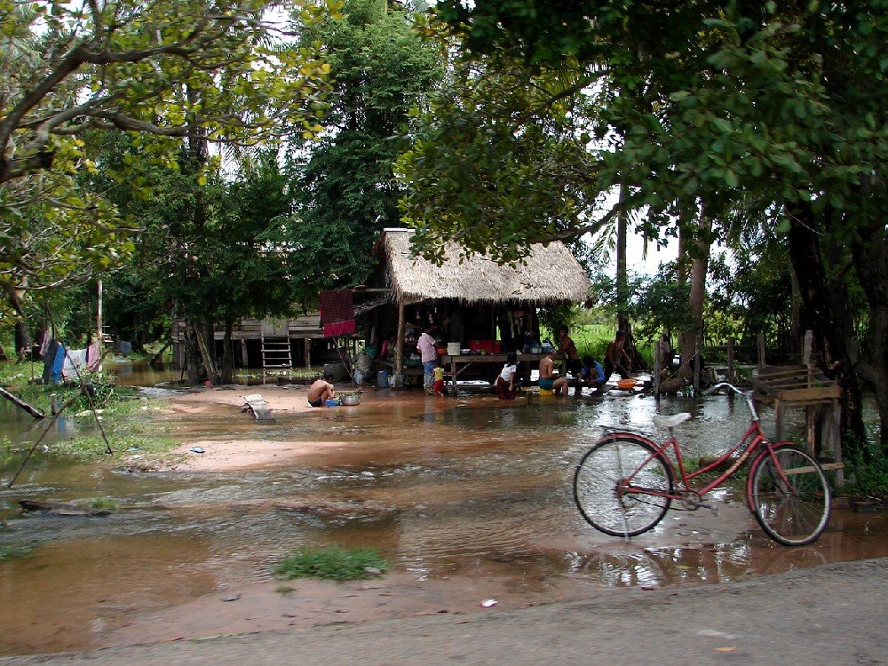 [THAI1+0331.JPG]