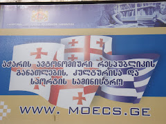 www.moecs.ge