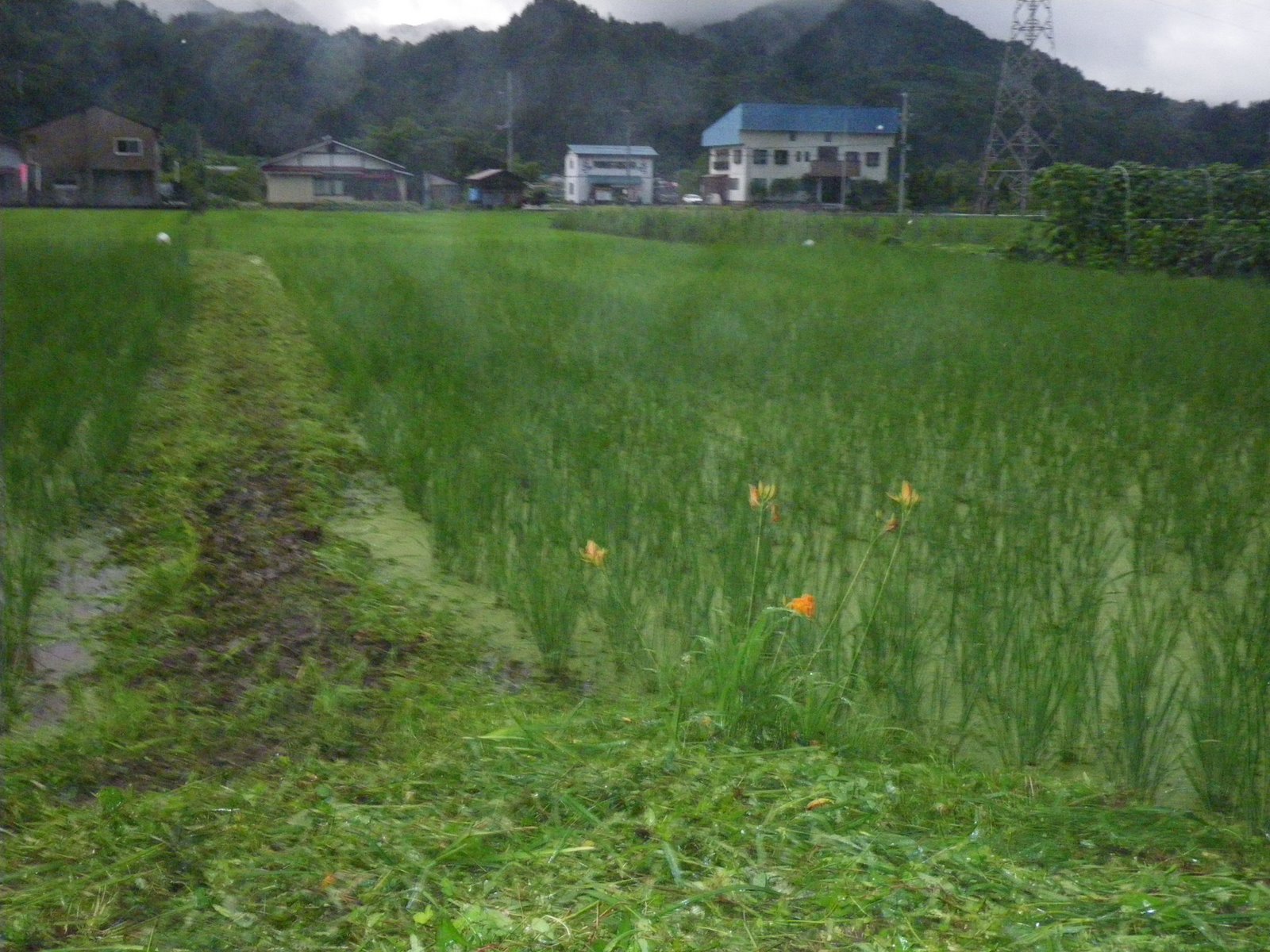 [IMGP0702.JPG]