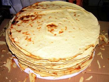 [pane20guttiaunc6.jpg]