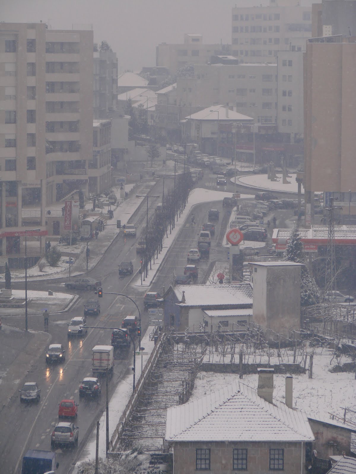 [DSC01351.JPG]