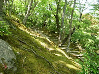 右には緩やかな道もある
