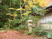 コケに紅葉が積もって綺麗!