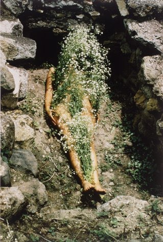 [Ana+Mendieta2.jpg]