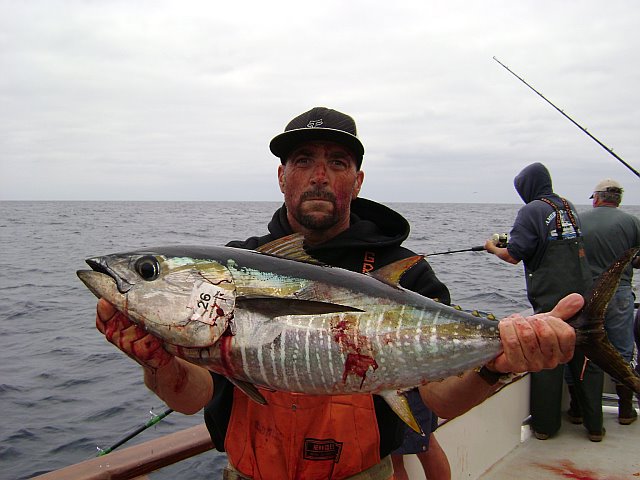 BraveHeart Yellowfin