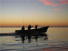Cedros Adventures Newsletter