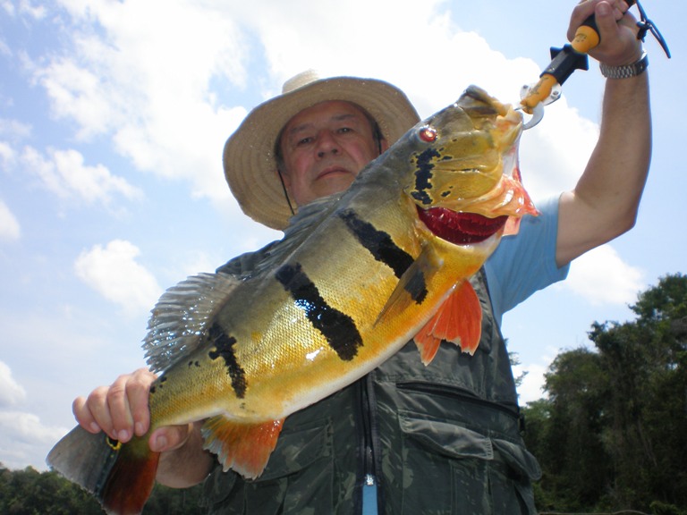 Fishing Report Fishing Report