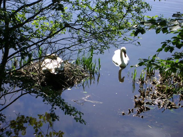 [DSC00203.JPG]