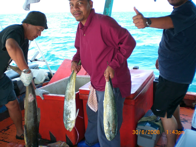 Belitung Sedeli