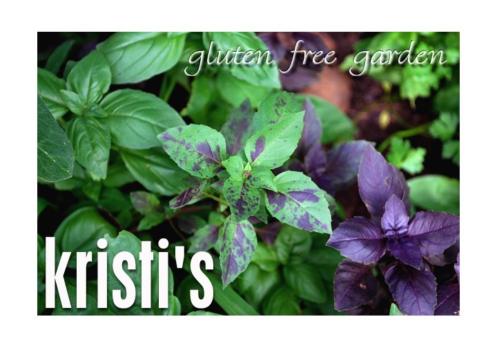 Kristi's Gluten Free Garden