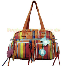 Foto 13 . Cartera Orange