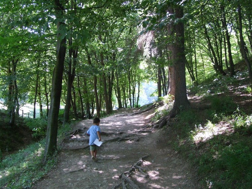 [DSCF9231.jpg]